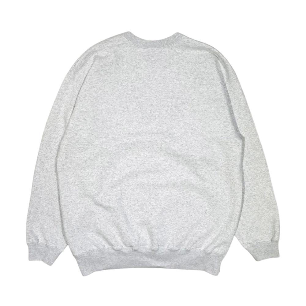 DESCENDANT / TEAM CREW NECK (242ATDS-CSM16)